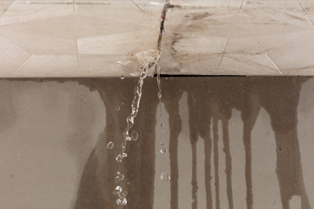 Professional Burst Pipe Cleanup technician working in Springville, IA